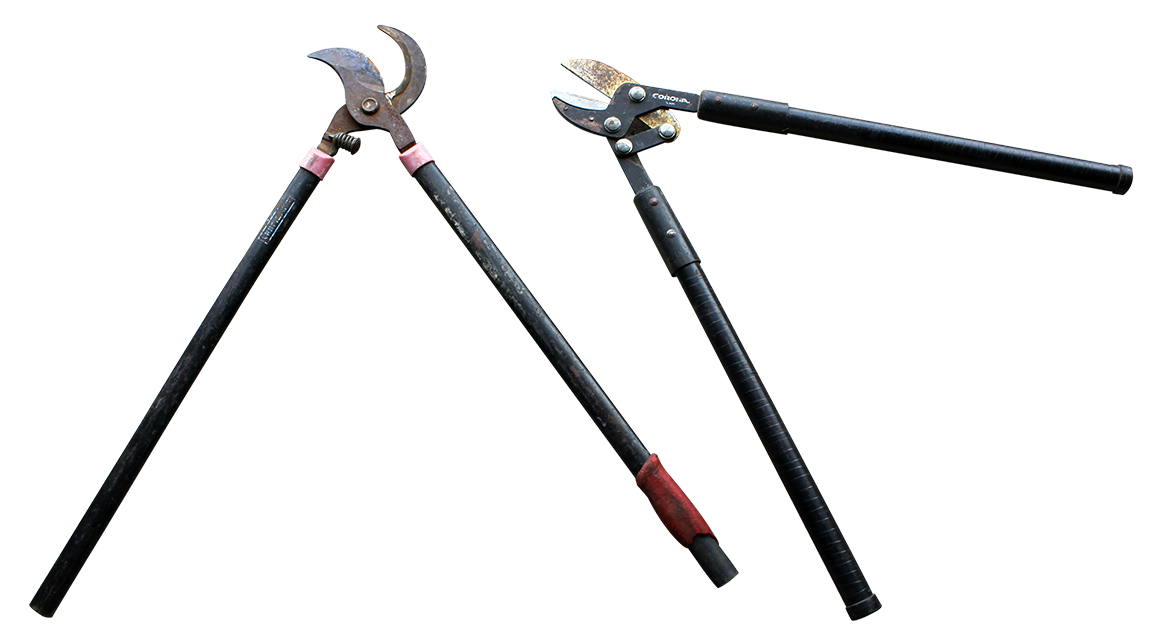 Lopping shears.png thumbnail